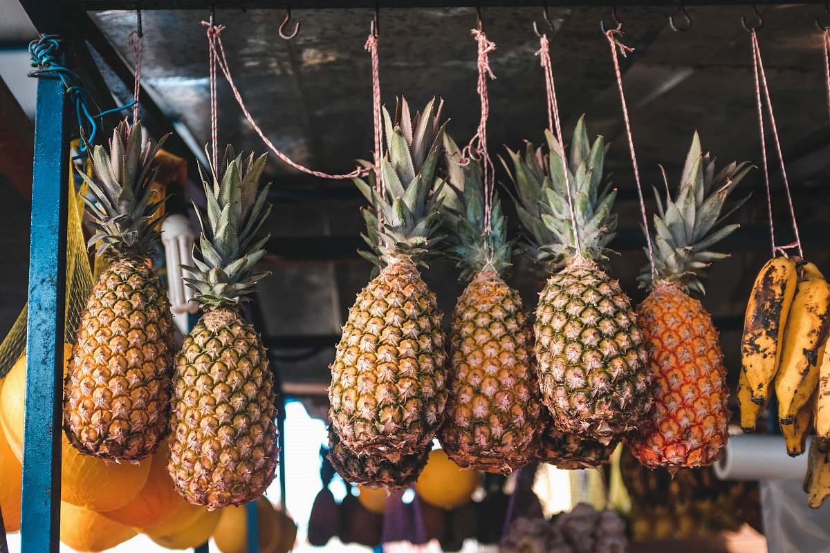 fruit several hanging pineapples in selective focus photography pineapple