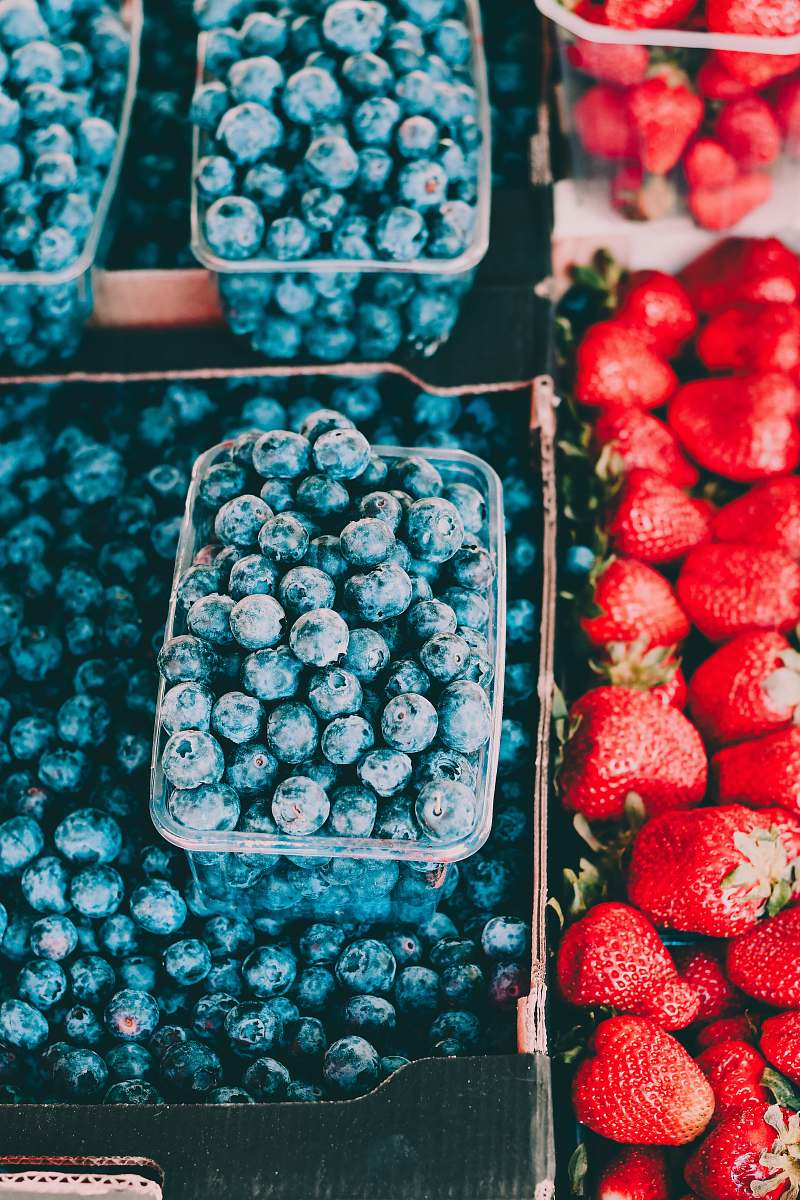 fruit shallow focus photo of blueberries plant