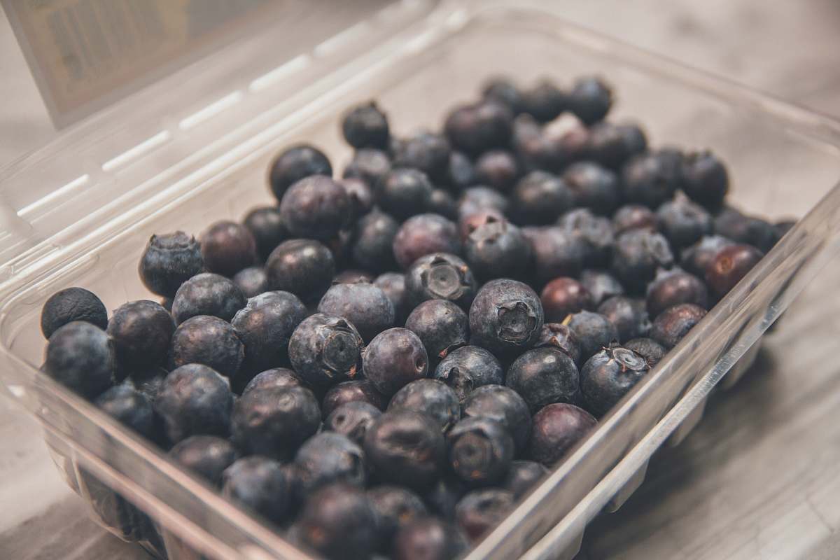 fruit shallow focus photo of blueberries on clear plastic case blueberry