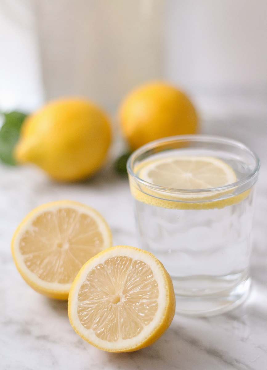 plant slice lemon beside cup fruit