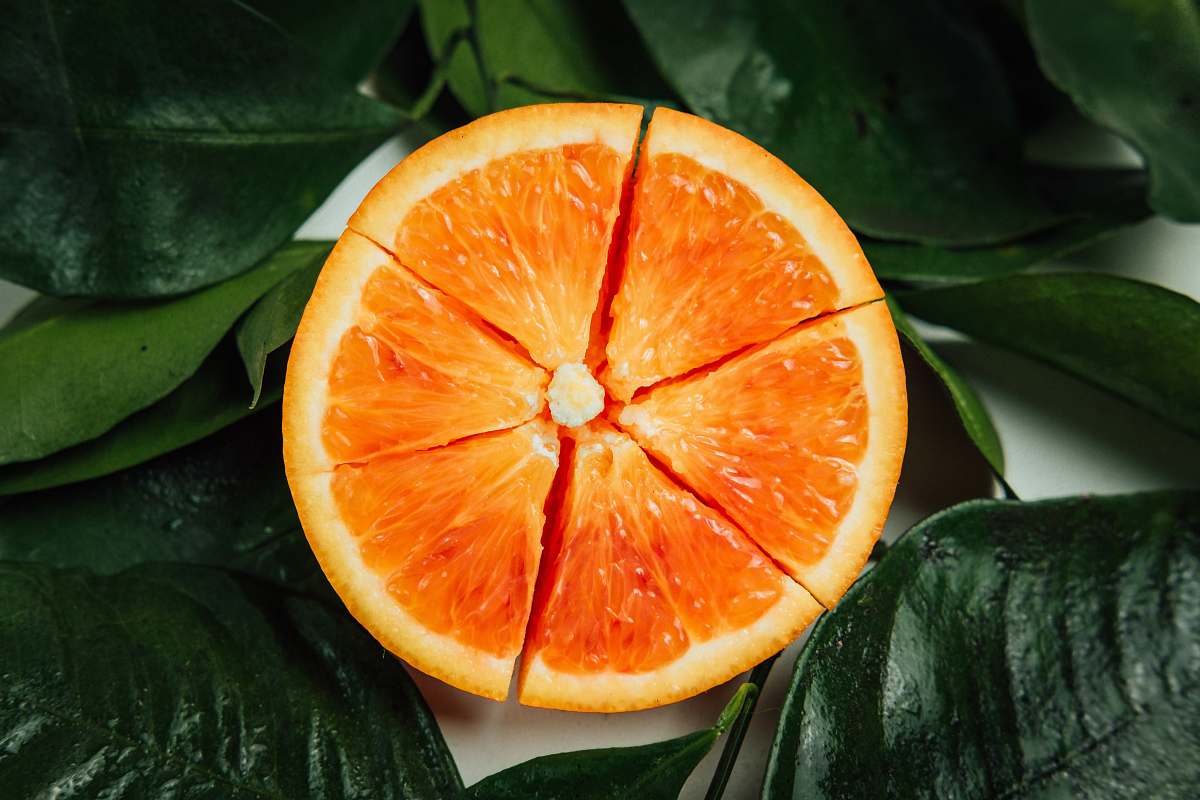 fruit sliced oranger orange