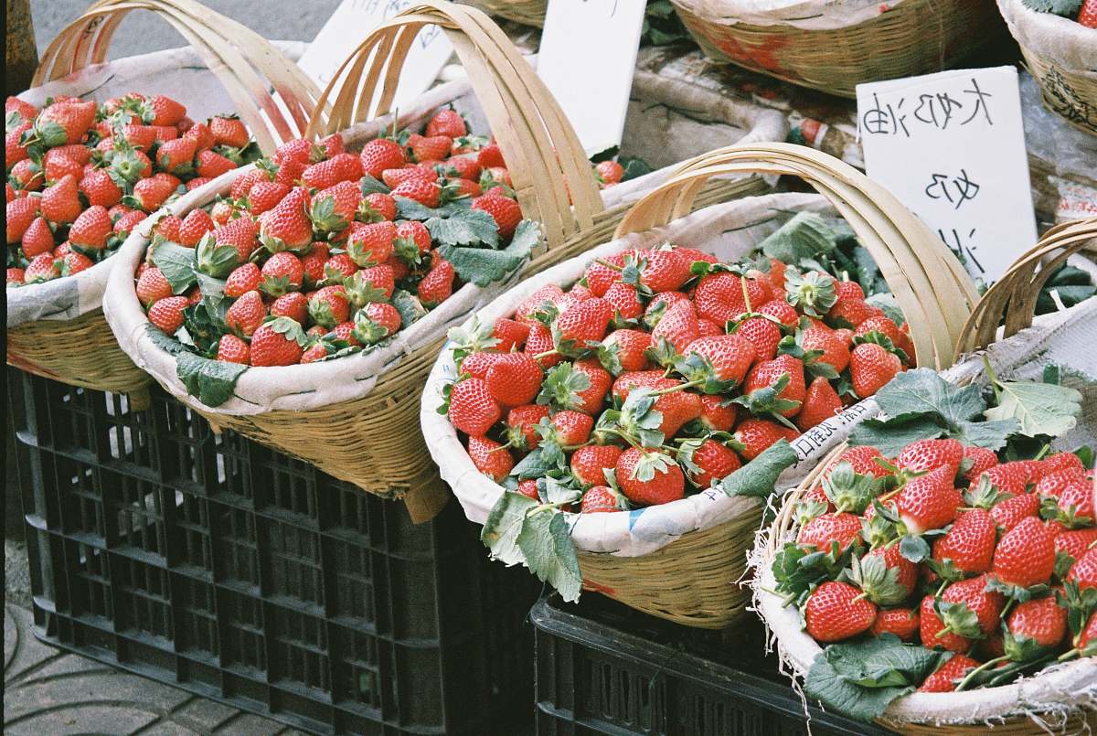 fruit strawberries inside baskets plant