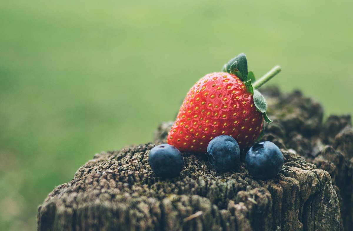 fruit strawberry and three blueberries in closeup photography strawberry