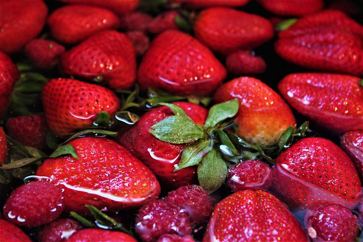 fruit strawberry fruit lot plant