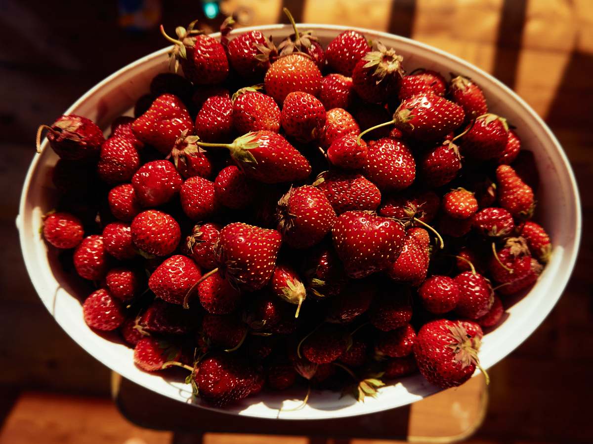 fruit strawberry fruits in white bowl plant