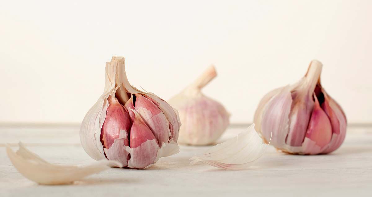 garlic three garlic cloves vegetable