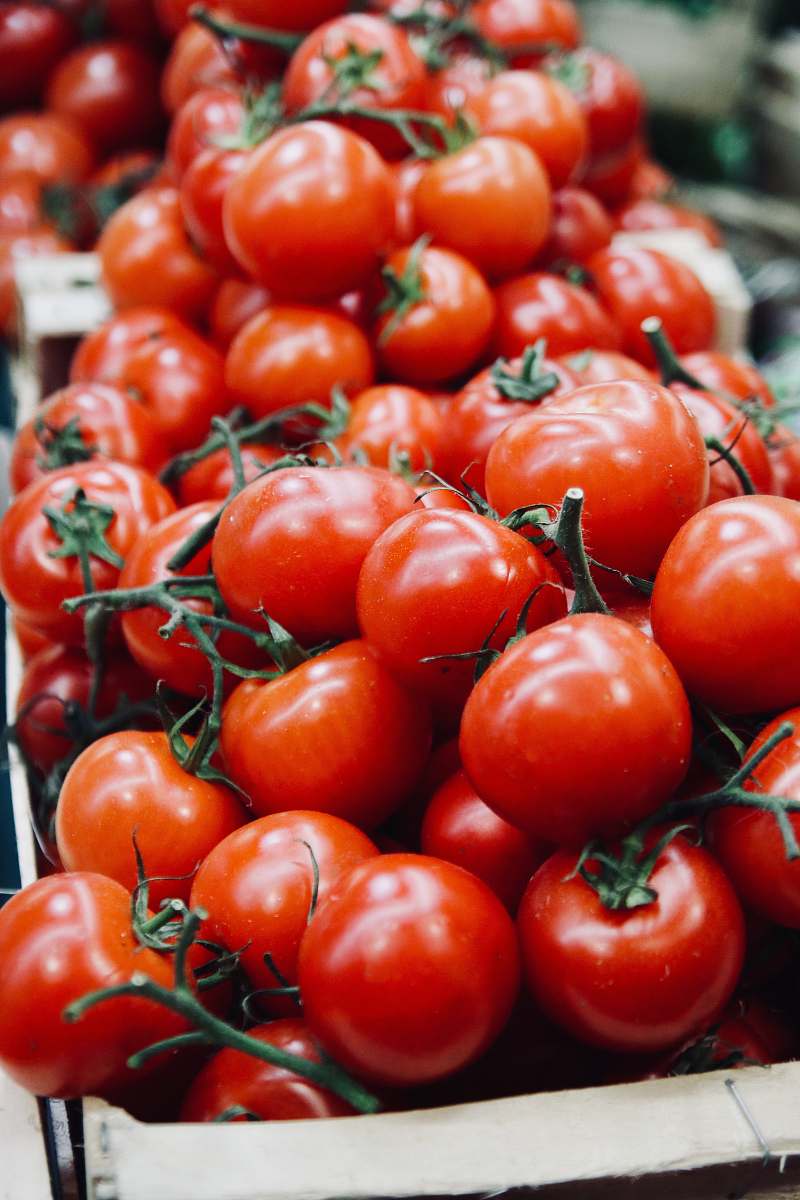 vegetable tomatoe lot flora