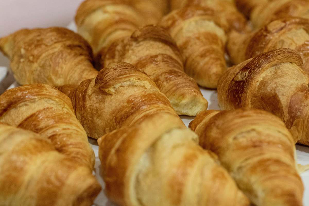 bread tray of brown croissant breads croissant