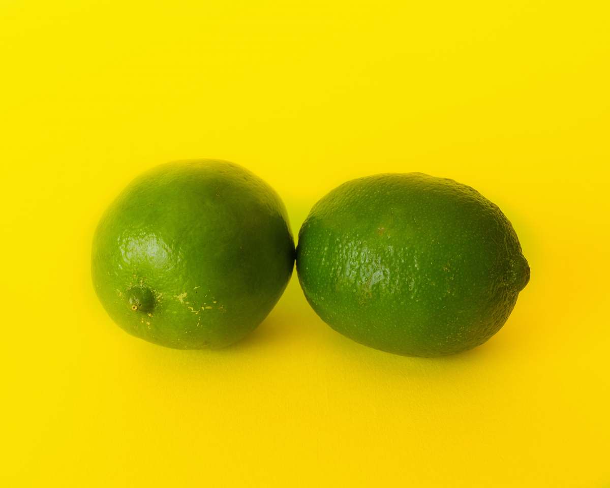 fruit two lime fruits plant