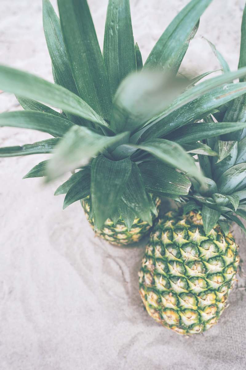 fruit two pineapples pineapple