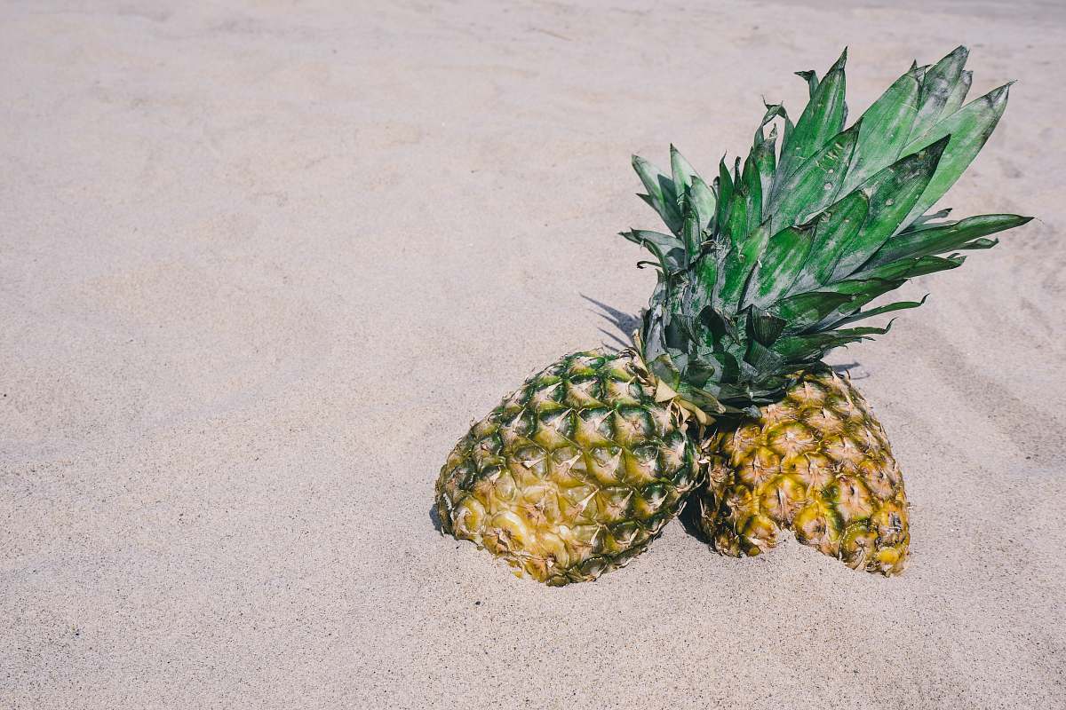 fruit two pineapples on gray sand pineapple