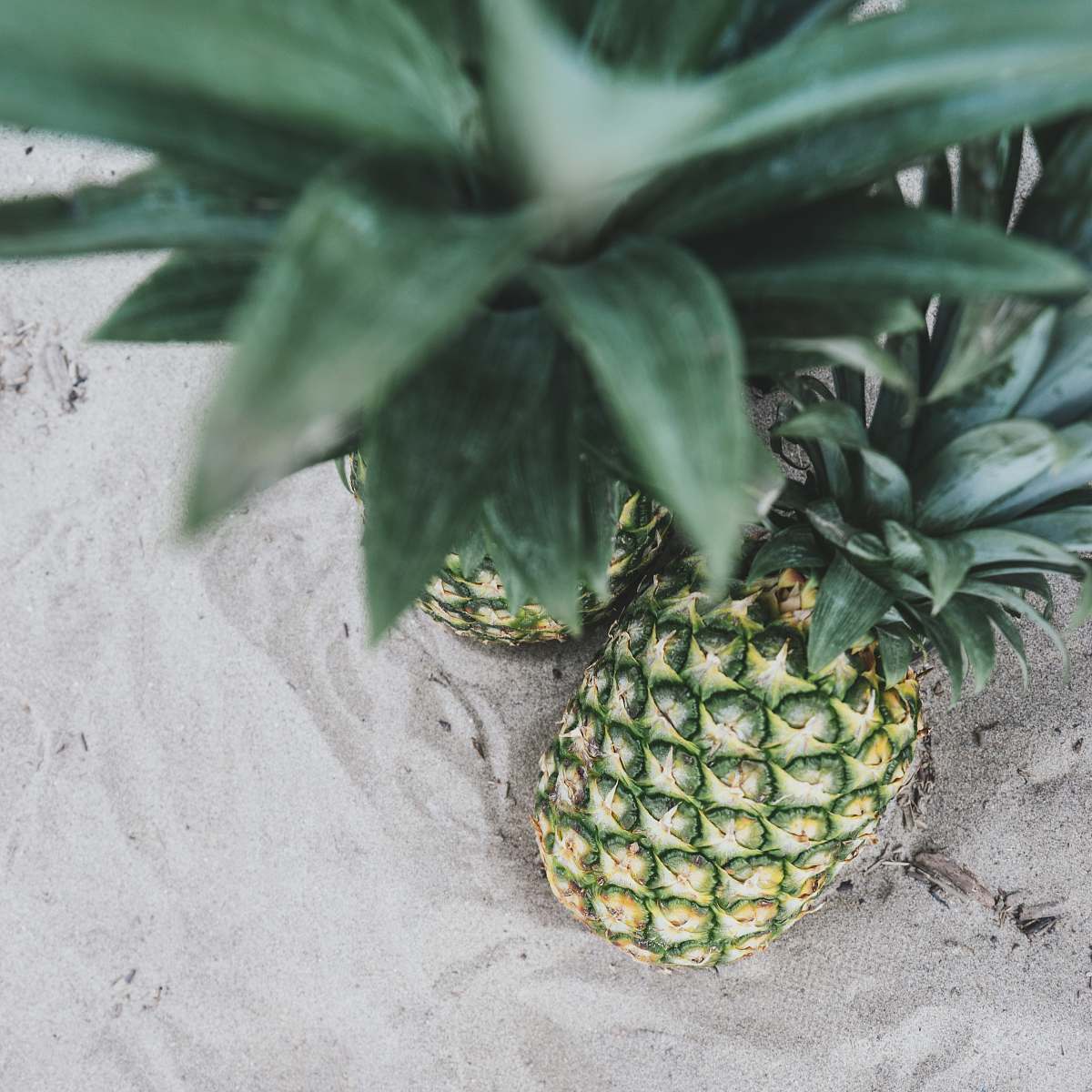 fruit two pineapples on sand pineapple