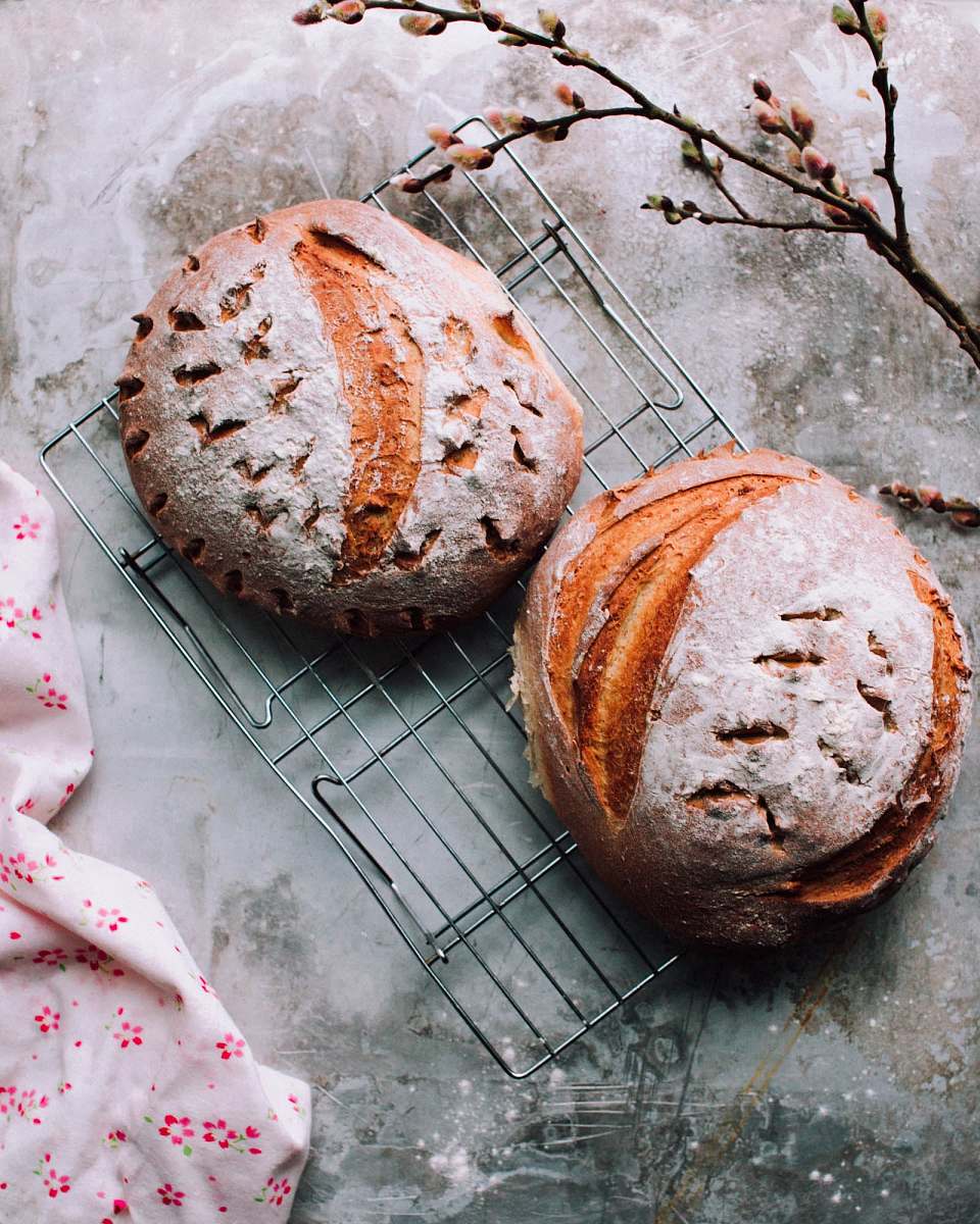 bread two round brown breads on metal grill flower