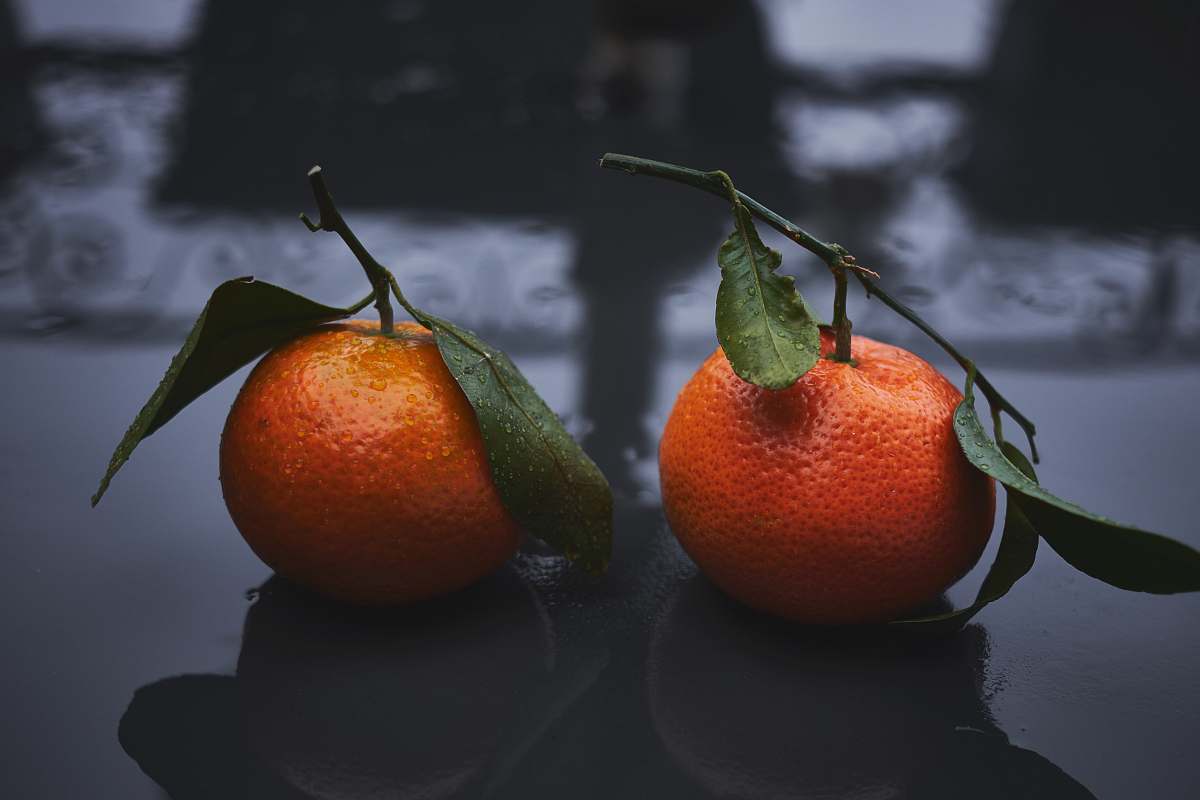 fruit two round orange fruits orange
