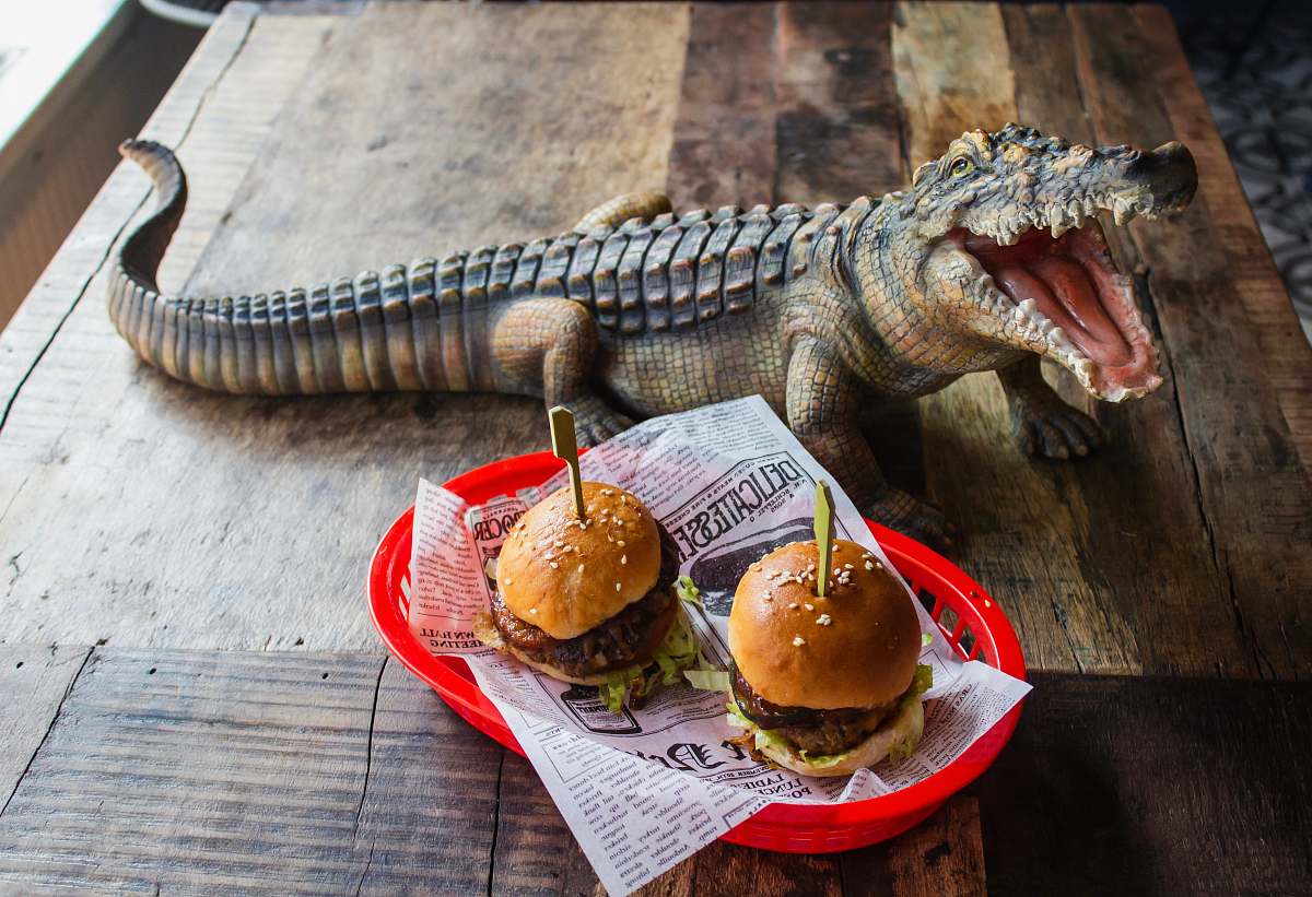 animal two sliders on plate beside crocodile statuette lizard