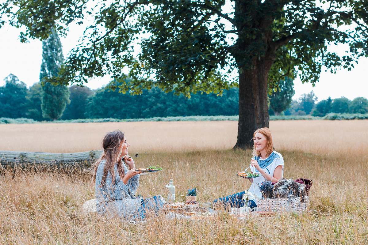 meal unknown persons sitting on brown grass vacation