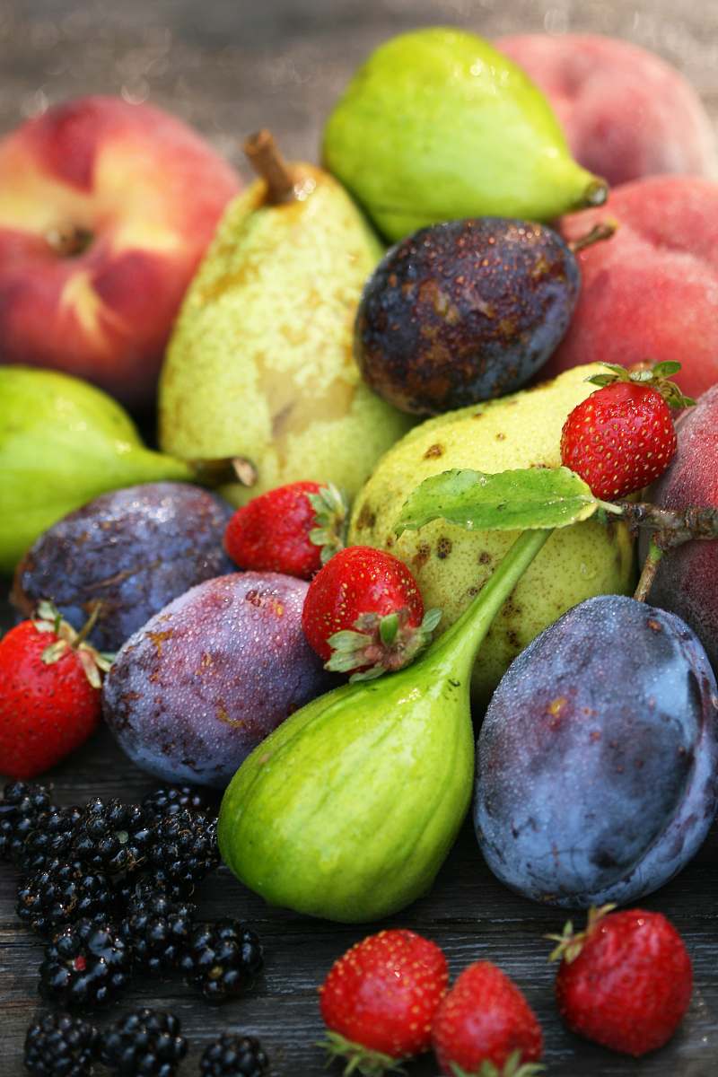 plant variety of fruits fruit