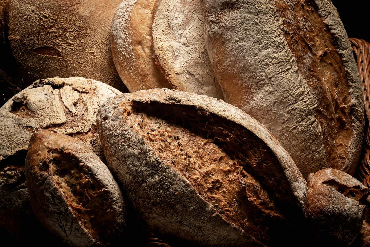 bread wheat bread animal