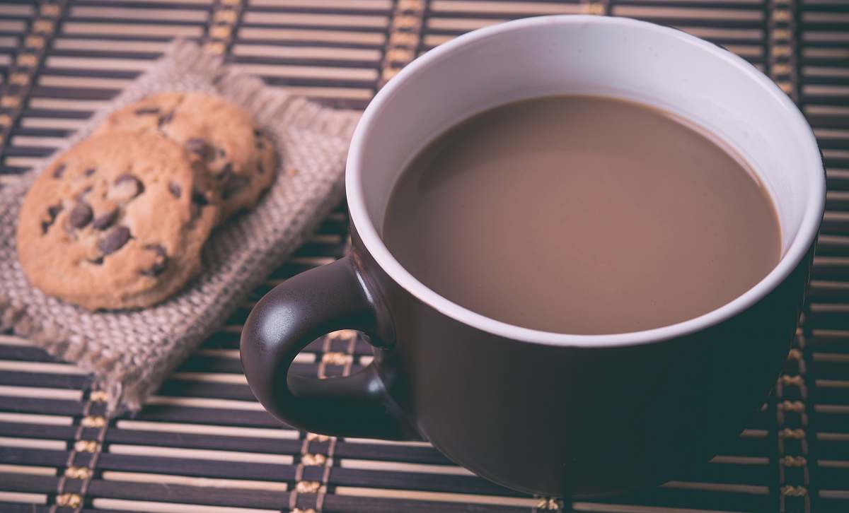 cup white and brown ceramic cup with coffee near cookies hot chocolate