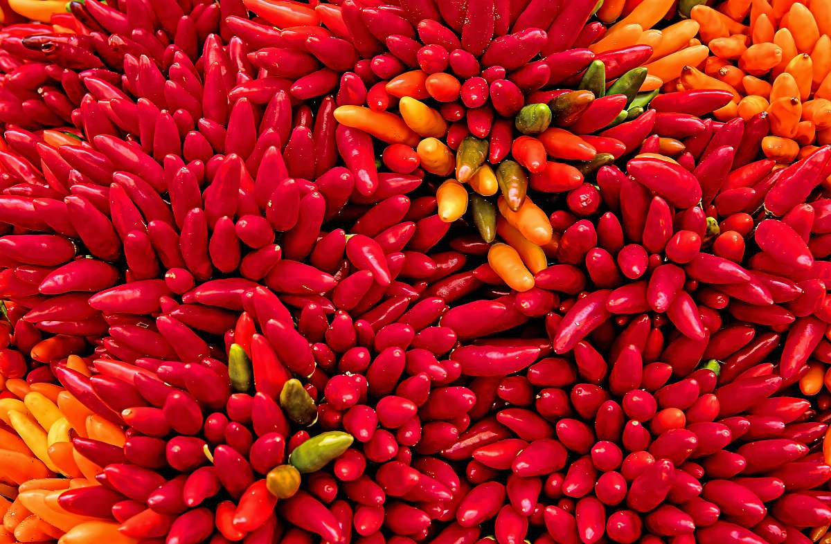 vegetable yellow and red chilis bean