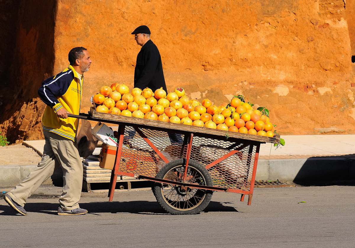 food  citrus fruit