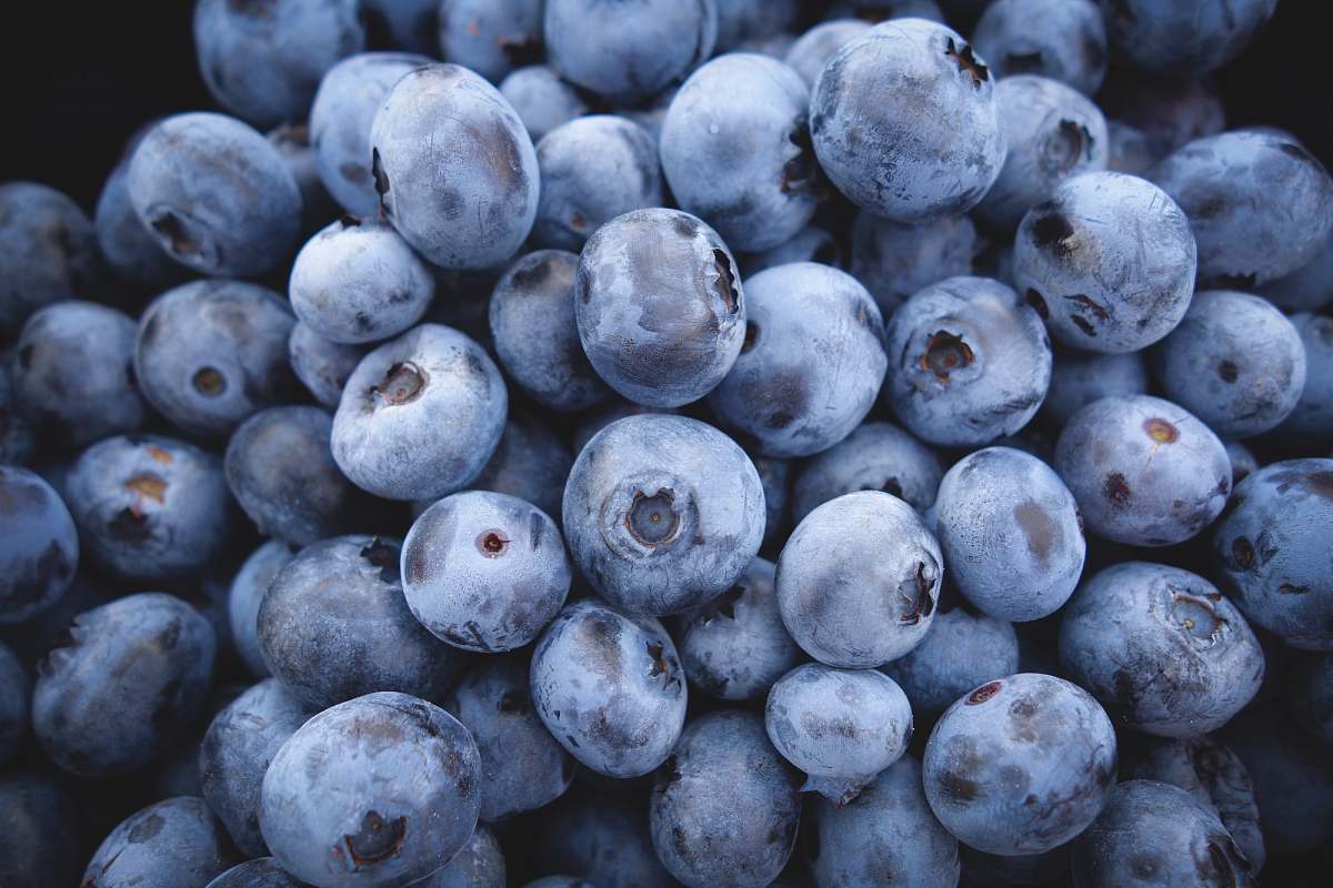 blueberry berry lot food