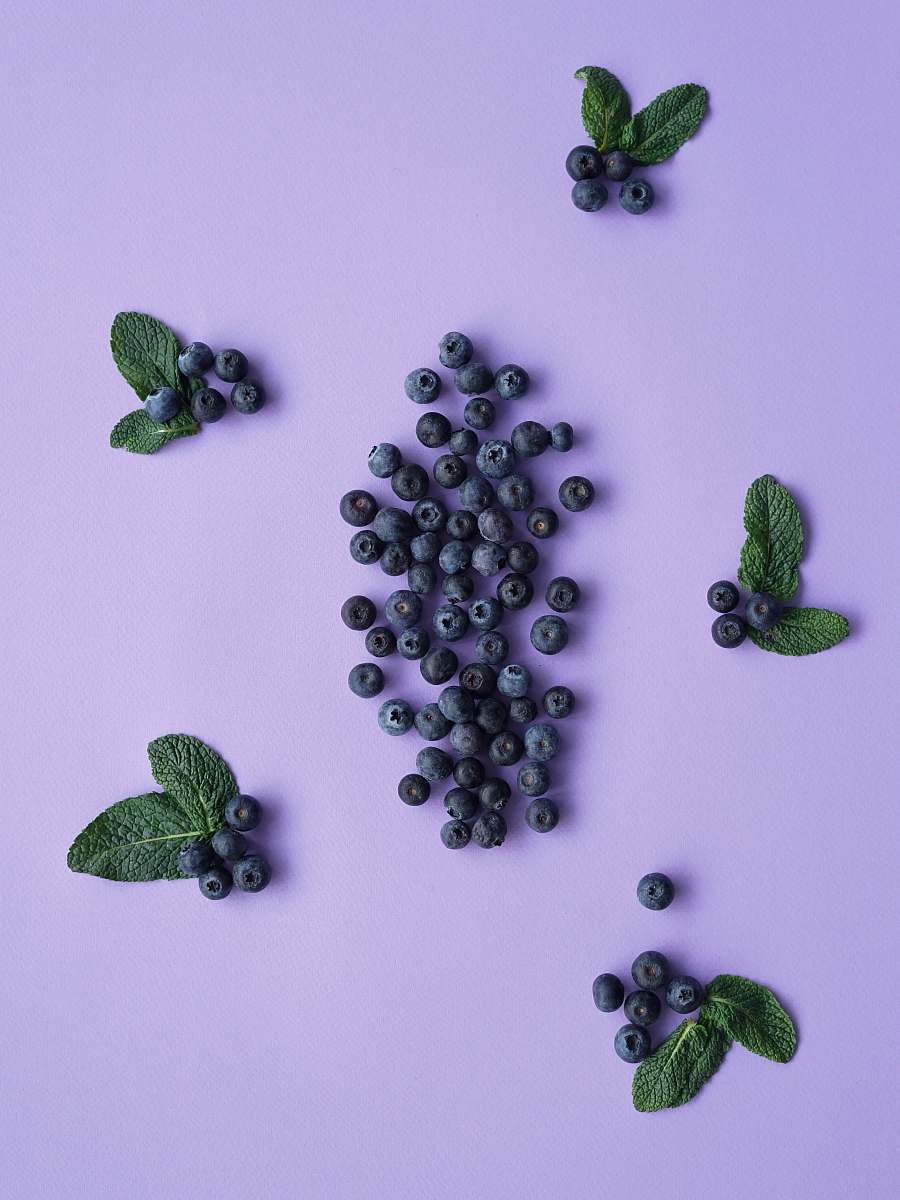 blueberry black berries plant