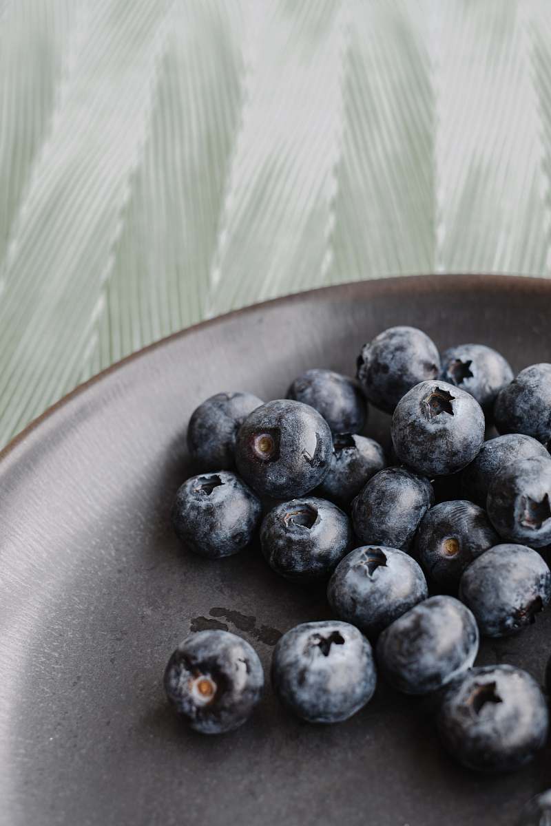 plant blackberries on plate blueberry