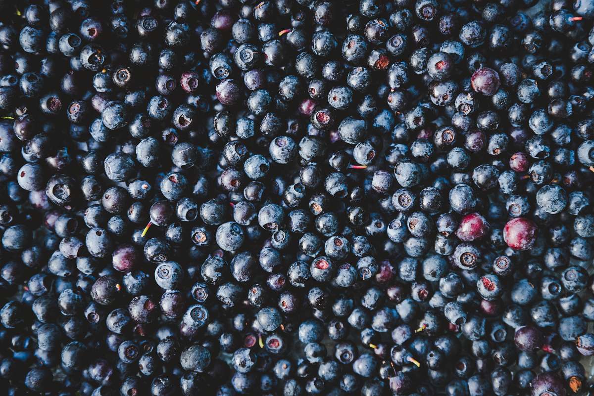 food blueberries fruit blueberry