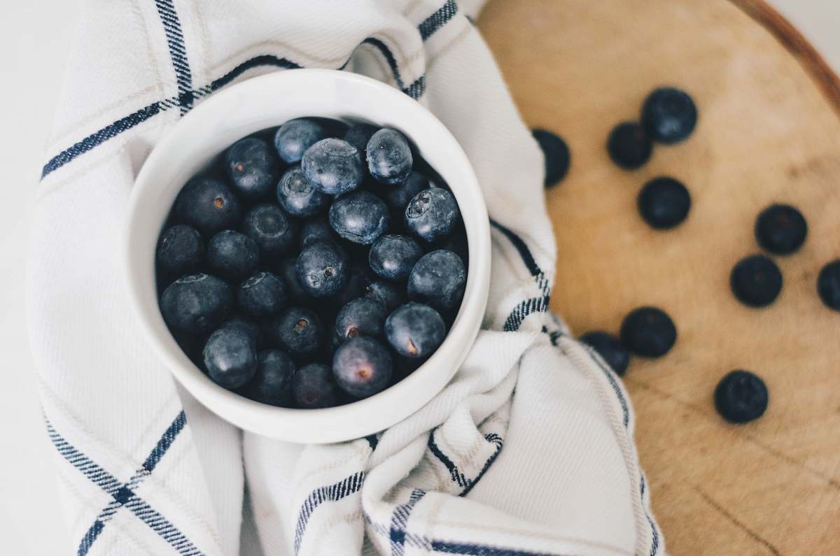 plant blueberries in bowl blueberry