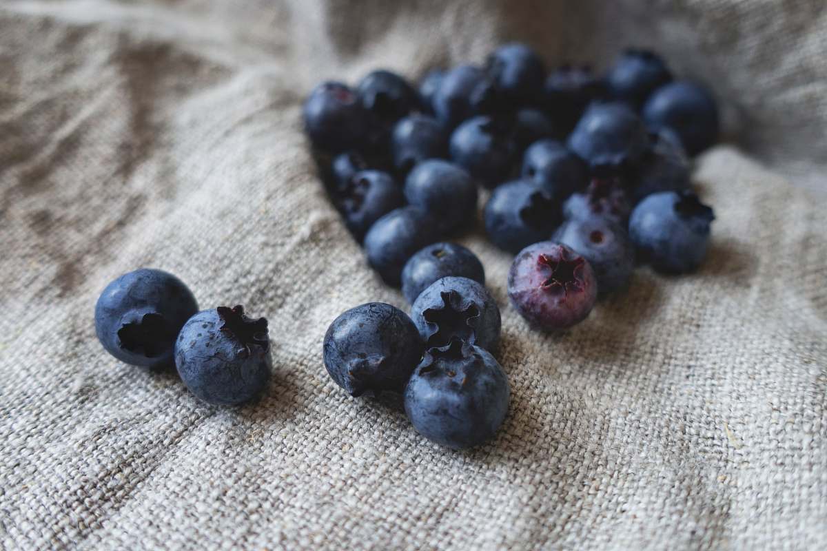 food blueberries placed on gray textile blueberry