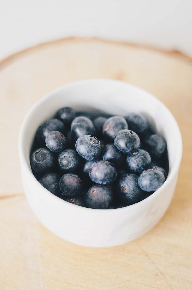 plant bowl of blueberry fruits blueberry