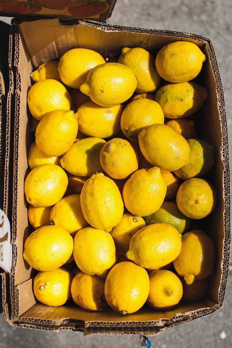 plant box of lemons citrus fruit