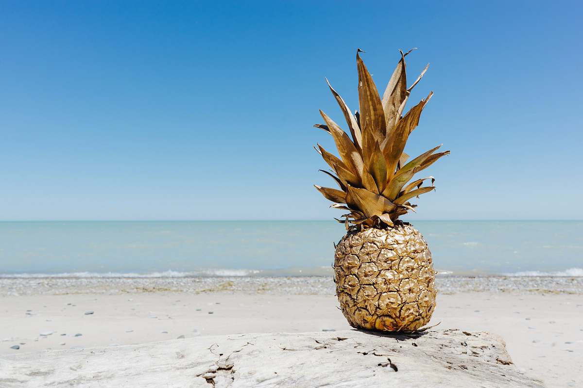 food brown pineapple fruit on seashore pineapple