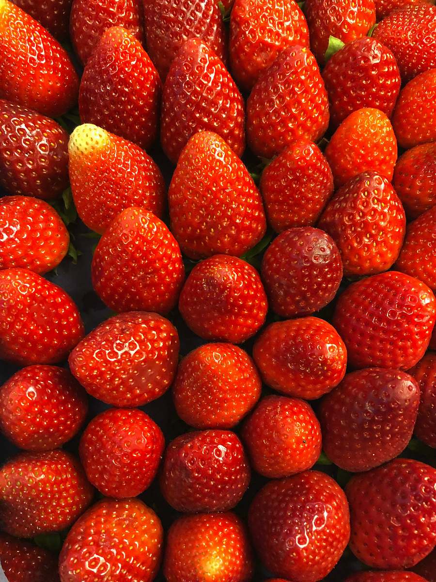 plant bunch of strawberries food