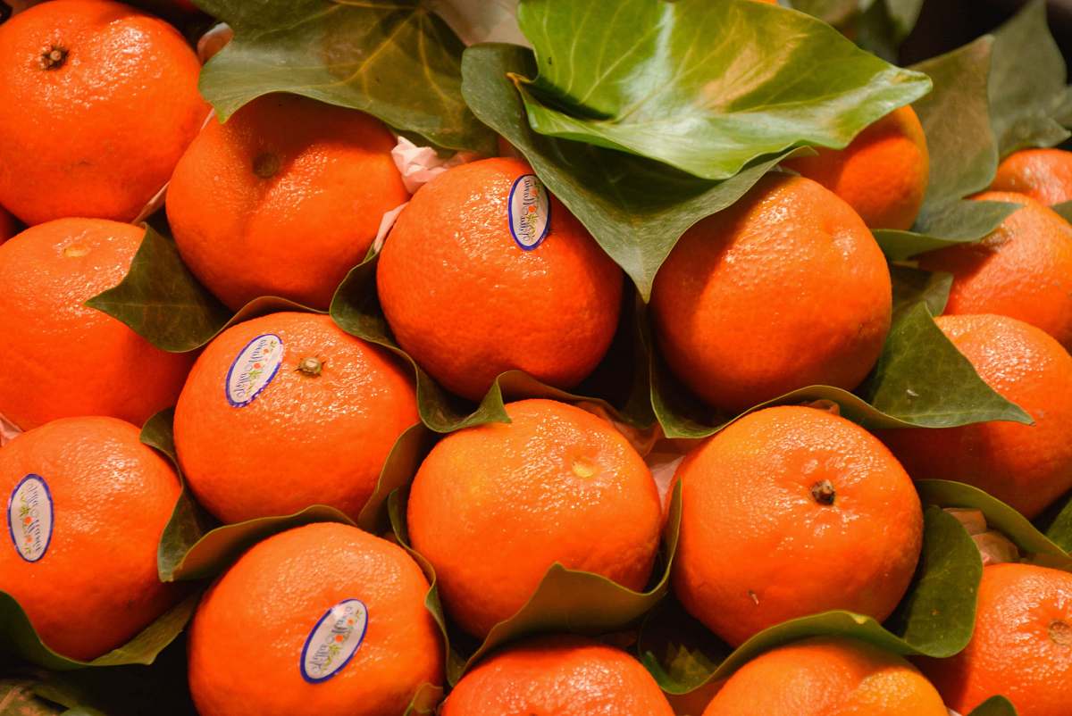 food orange fruits plant