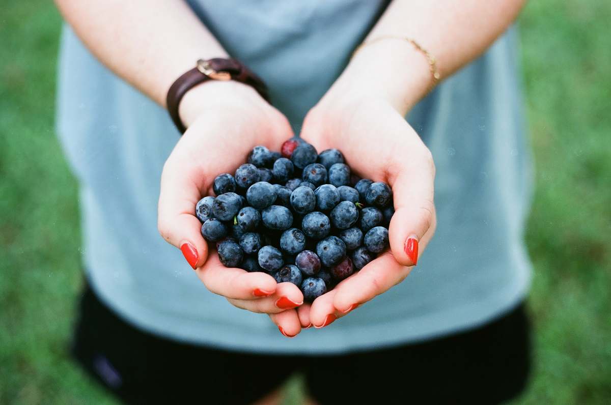 food person showing blue berries blueberry