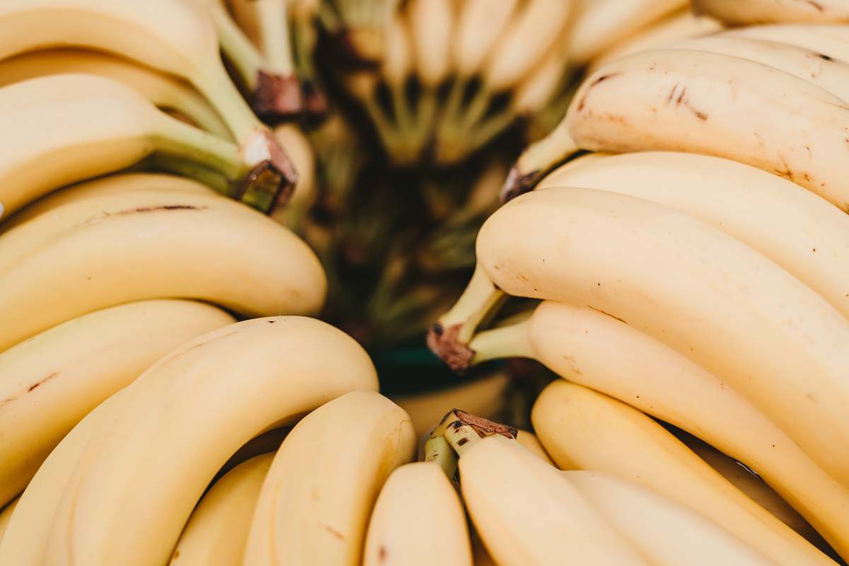 banana pile of yellow banana fruits plant
