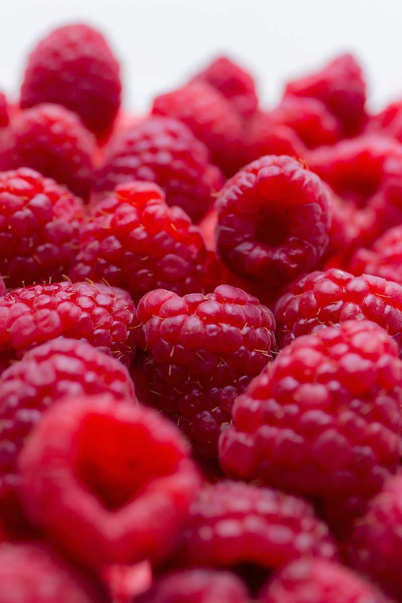 food red berries plant