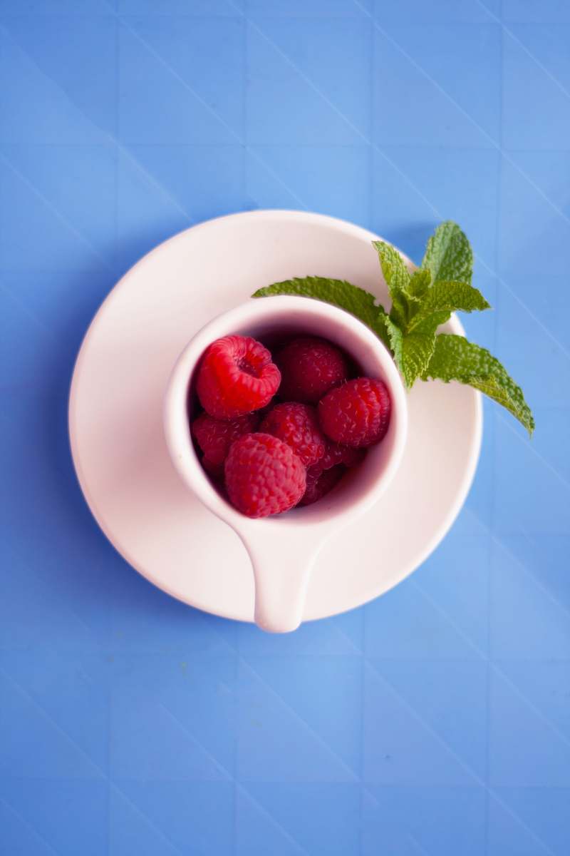 food red raspberries on mug plant