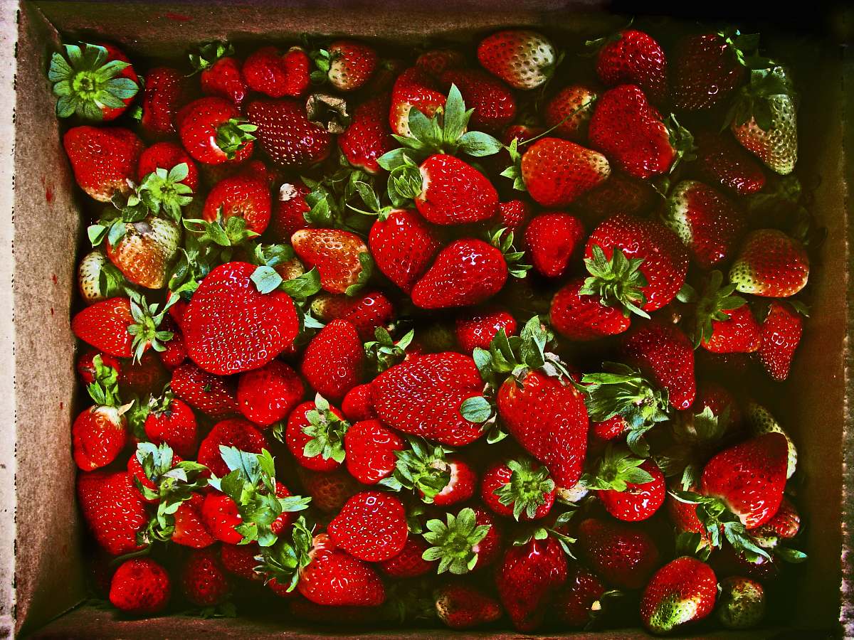 food red strawberries in brown box strawberry