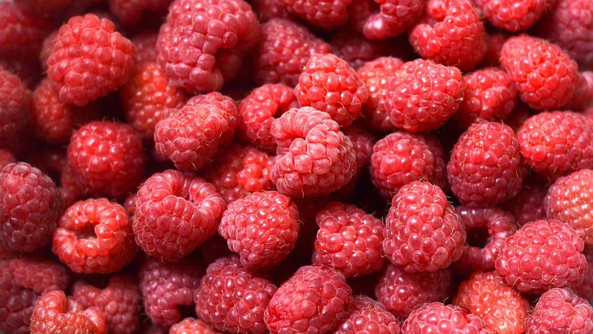 food red strawberry fruits raspberry