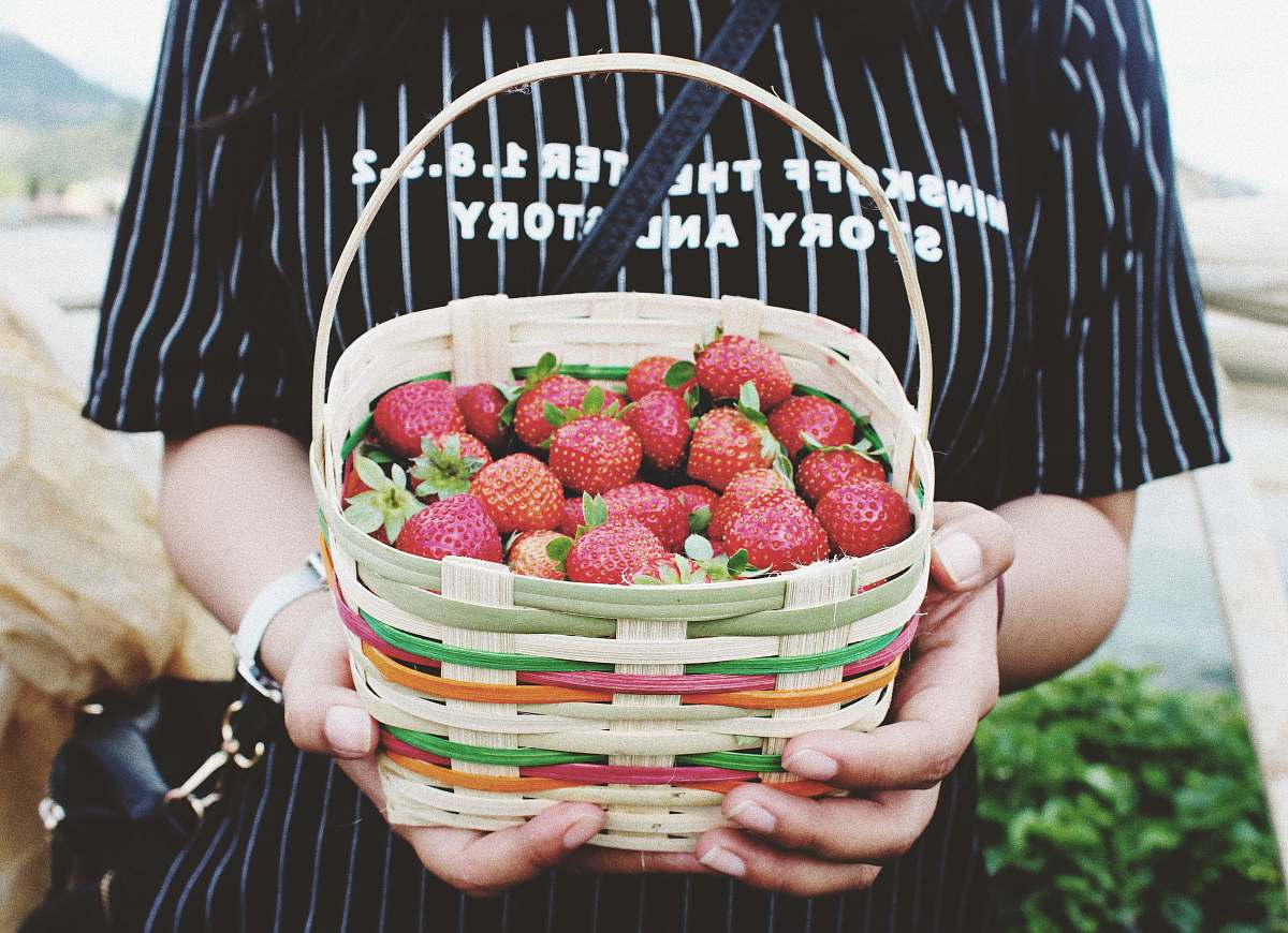 food woman holding basket of strawberries strawberry