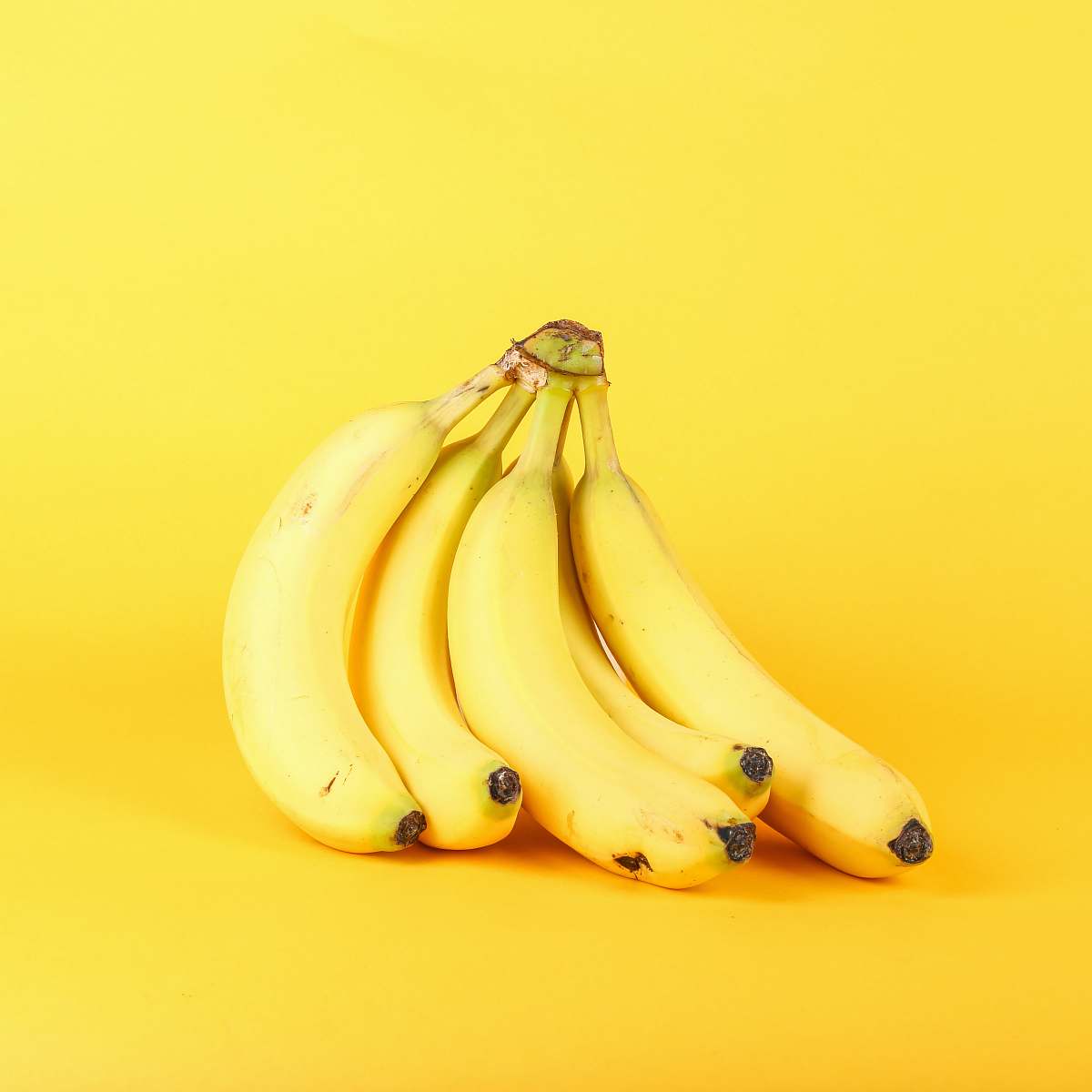 plant yellow bananas banana