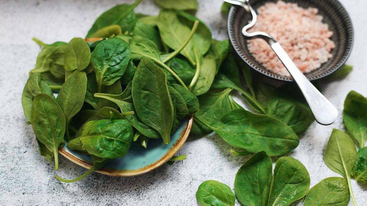 spinach  vegetable