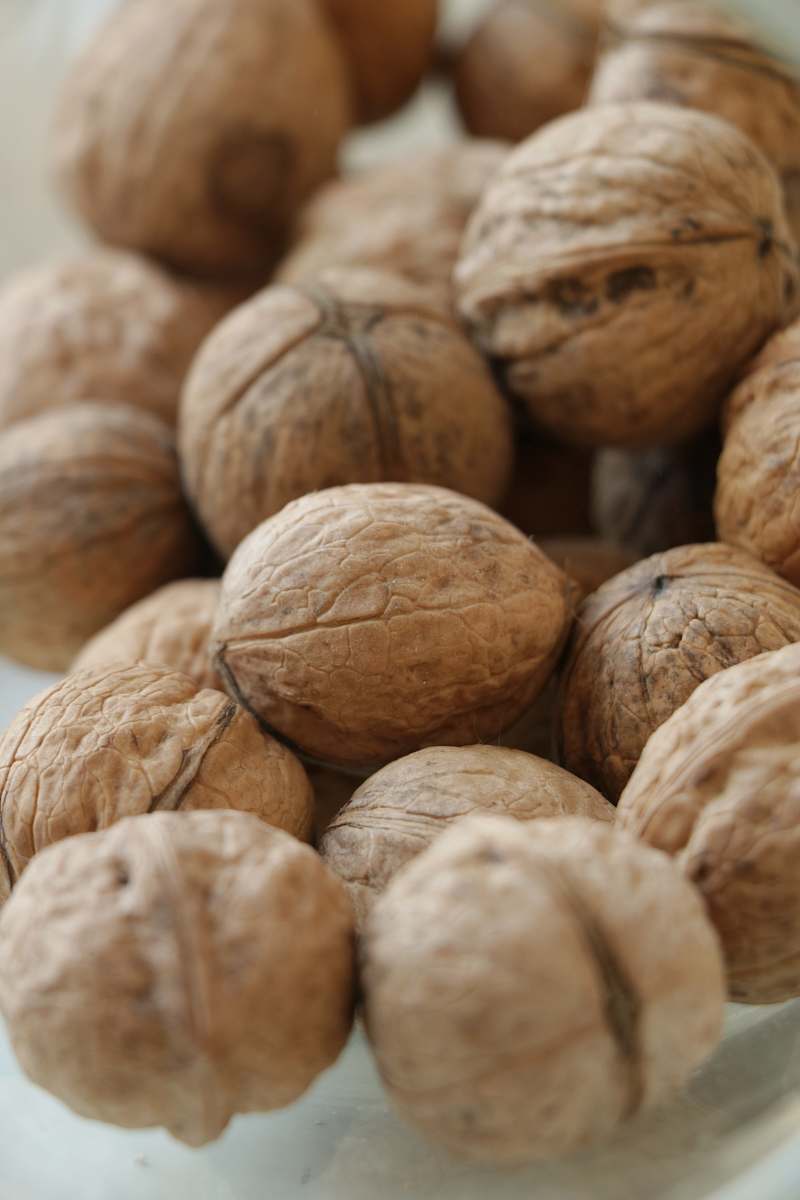 nut brown wall nuts walnut