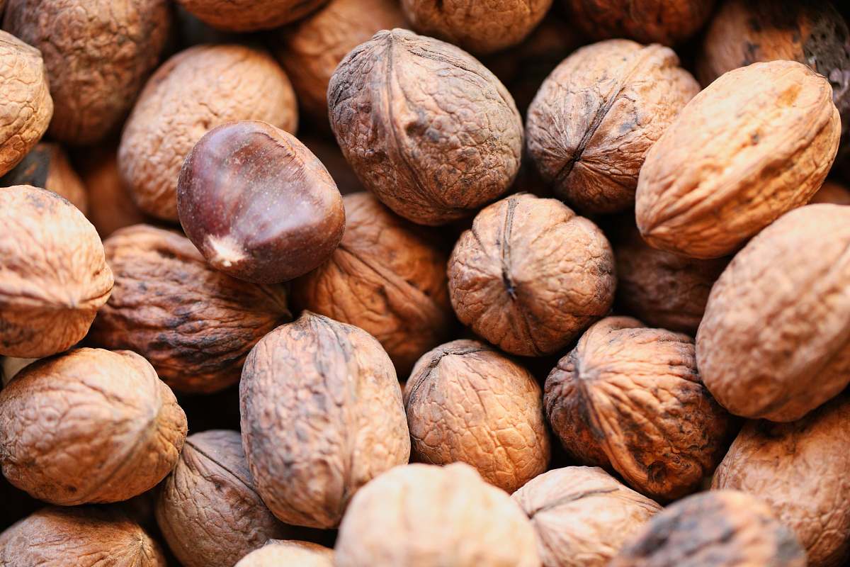 food brown walnut lot nut