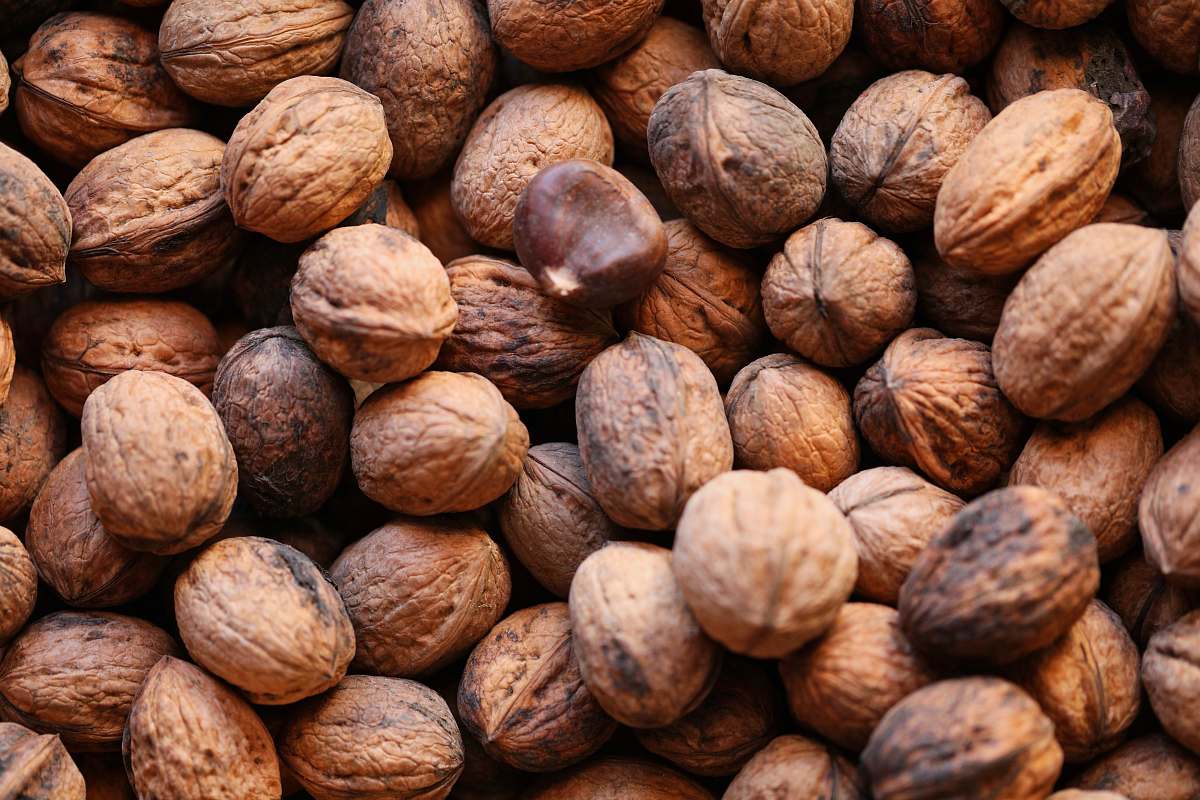 food brown walnuts walnut