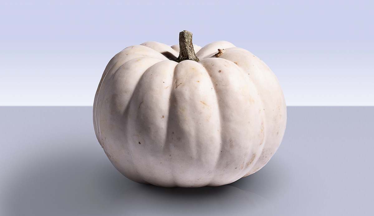 vegetable gray pumpkin on gray surface pumpkin