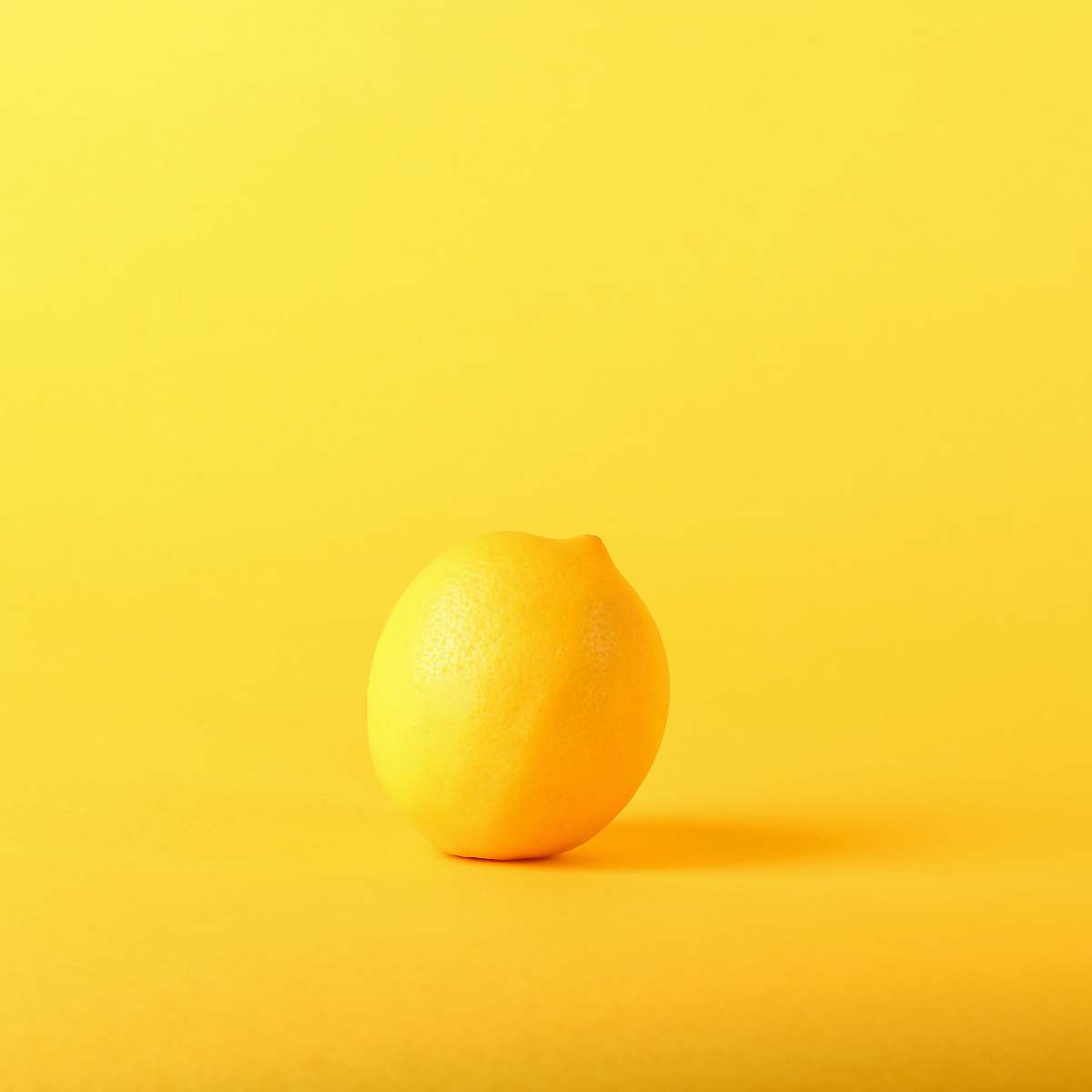 fruit photography of lemon citrus fruit